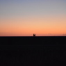 silhouette