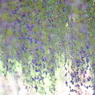 DSC02241