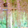 DSC02250