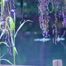 DSC02273