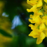 DSC02306