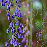 DSC02340