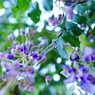 DSC02361
