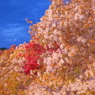DSC02413