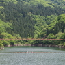 我谷ダムから見た我谷吊橋