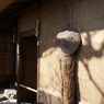 落柿舎にて