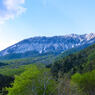 大山　from　鍵掛峠