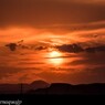 湿原の夕陽