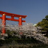 平安神宮