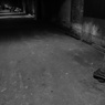 2015/5  ひとりあるく・・・