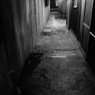 2015/5  ひとりあるく・・・