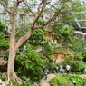 多摩動物園　蝶園