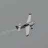 Red-Bull-Air-Race-2015 予選
