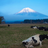 まあ天気も良いしゆっくり富士山でも見ていきなよ