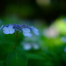 DSCF3331