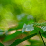 DSCF3316