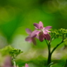 DSCF3283
