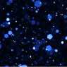 降雪
