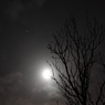 満月の夜に