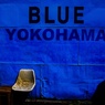 BLUE  YOKOHAMA