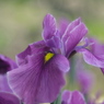 DSCF3257