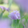 DSCF3260