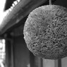 酒造