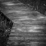 Boardwalk