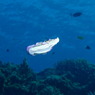 沖縄・渡嘉敷島