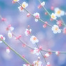 ぽつりぽつり