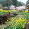 春の里見駅
