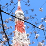 蔵出し　その３