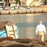 漁港で働く人