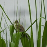 DSCN0214