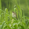 DSCN0263