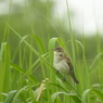 DSCN0276