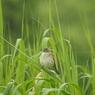 DSCN0253