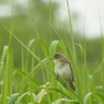 DSCN0281