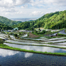 江里山の棚田