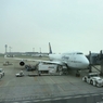 帰国　「フランダースの旅」シリーズ完結