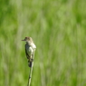 DSCN0402