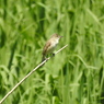 DSCN0527