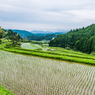 西の谷の棚田-3