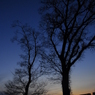 冬の夕景のシルエット