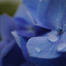あ、雨やんだんだね...