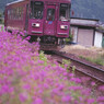 牡丹列車
