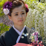 藤まつり