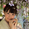 藤まつり