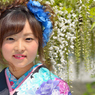 藤まつり