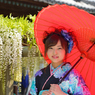 藤まつり